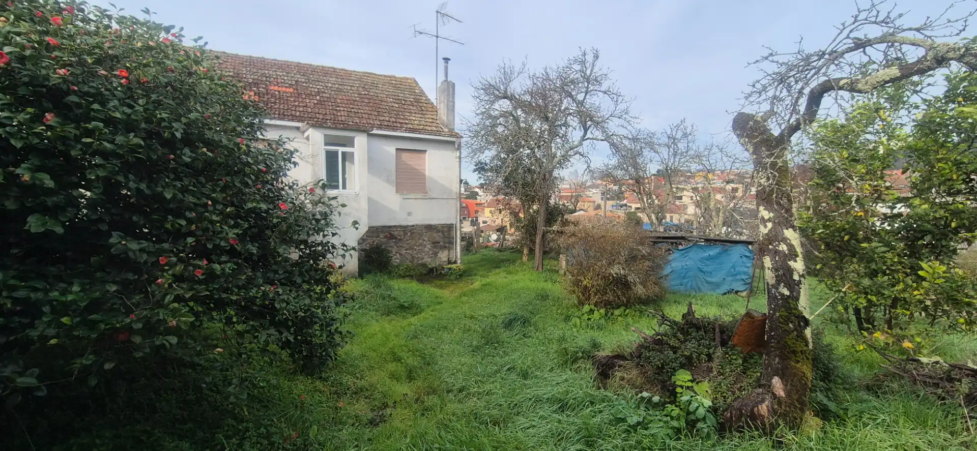 https://static.fotocasa.es/images/ads/f753c3aa-6c77-421b-a9f9-d5ebcf81b62b?rule=original