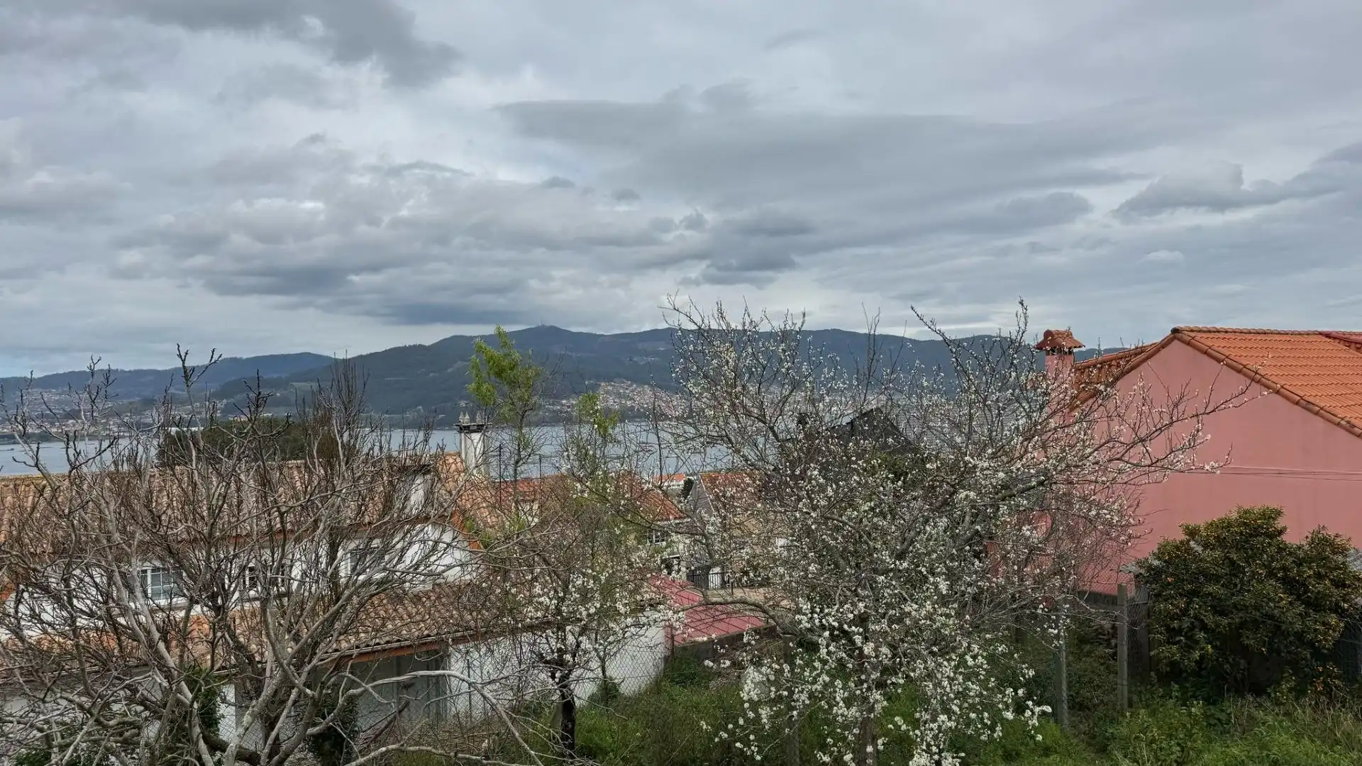 https://static.fotocasa.es/images/ads/11639aee-58f9-4c89-a811-ceb7332d3d38?rule=original