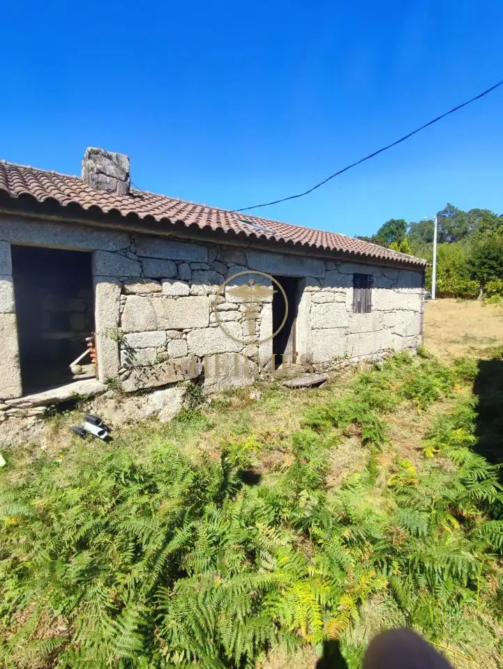 https://static.fotocasa.es/images/ads/da2b2c22-ba39-49a5-8581-8d8203c3a56d?rule=original