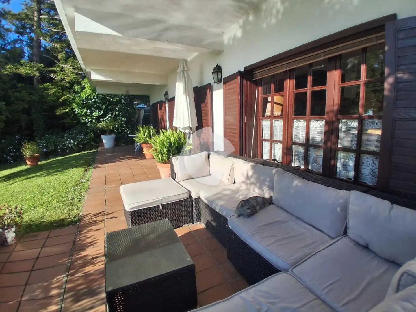 https://static.fotocasa.es/images/ads/618c634c-8450-481b-9359-835e2ea45602?rule=original