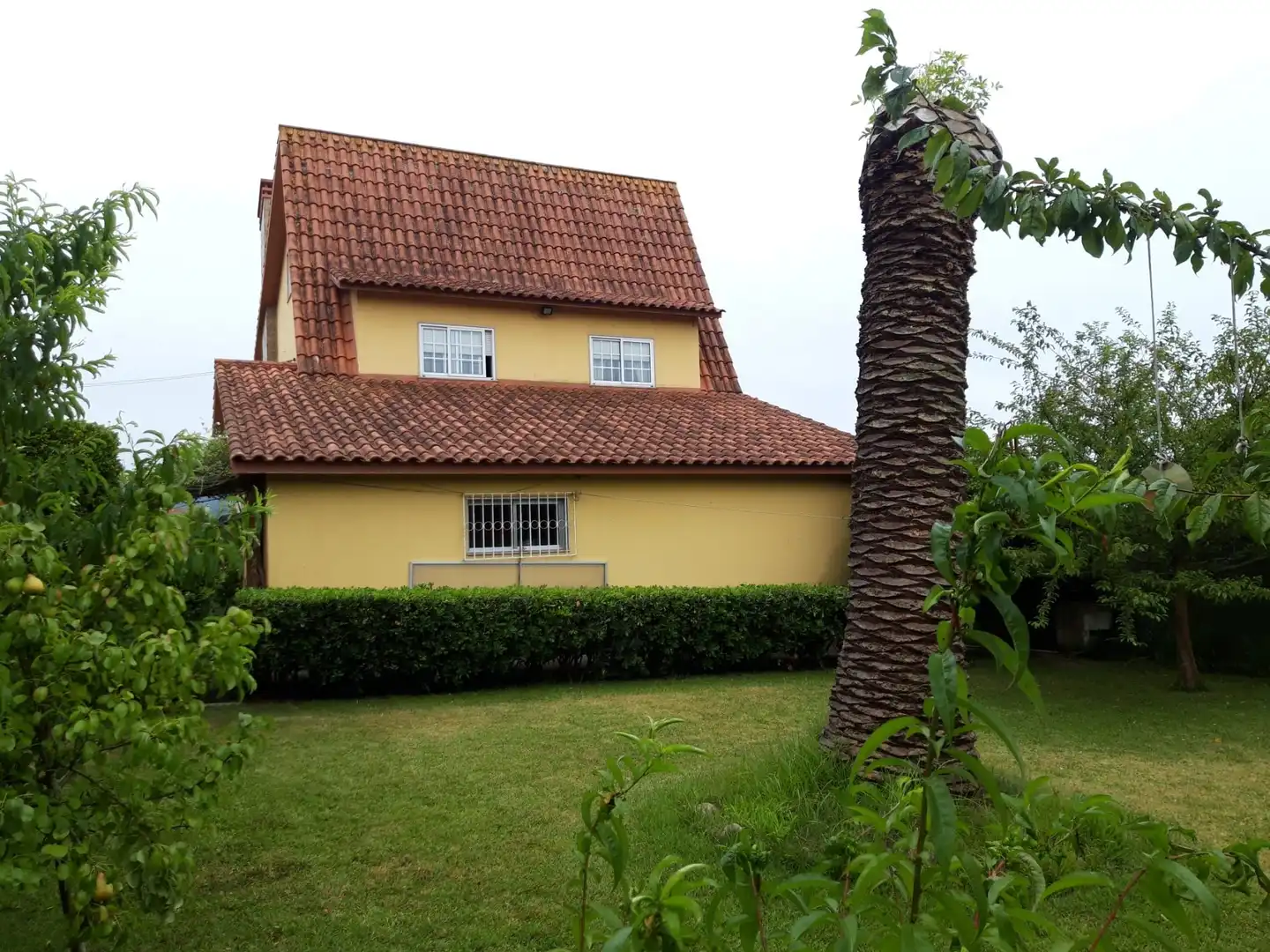 https://static.fotocasa.es/images/ads/8b95a261-d8e8-4879-a4f8-b14a80313042?rule=original