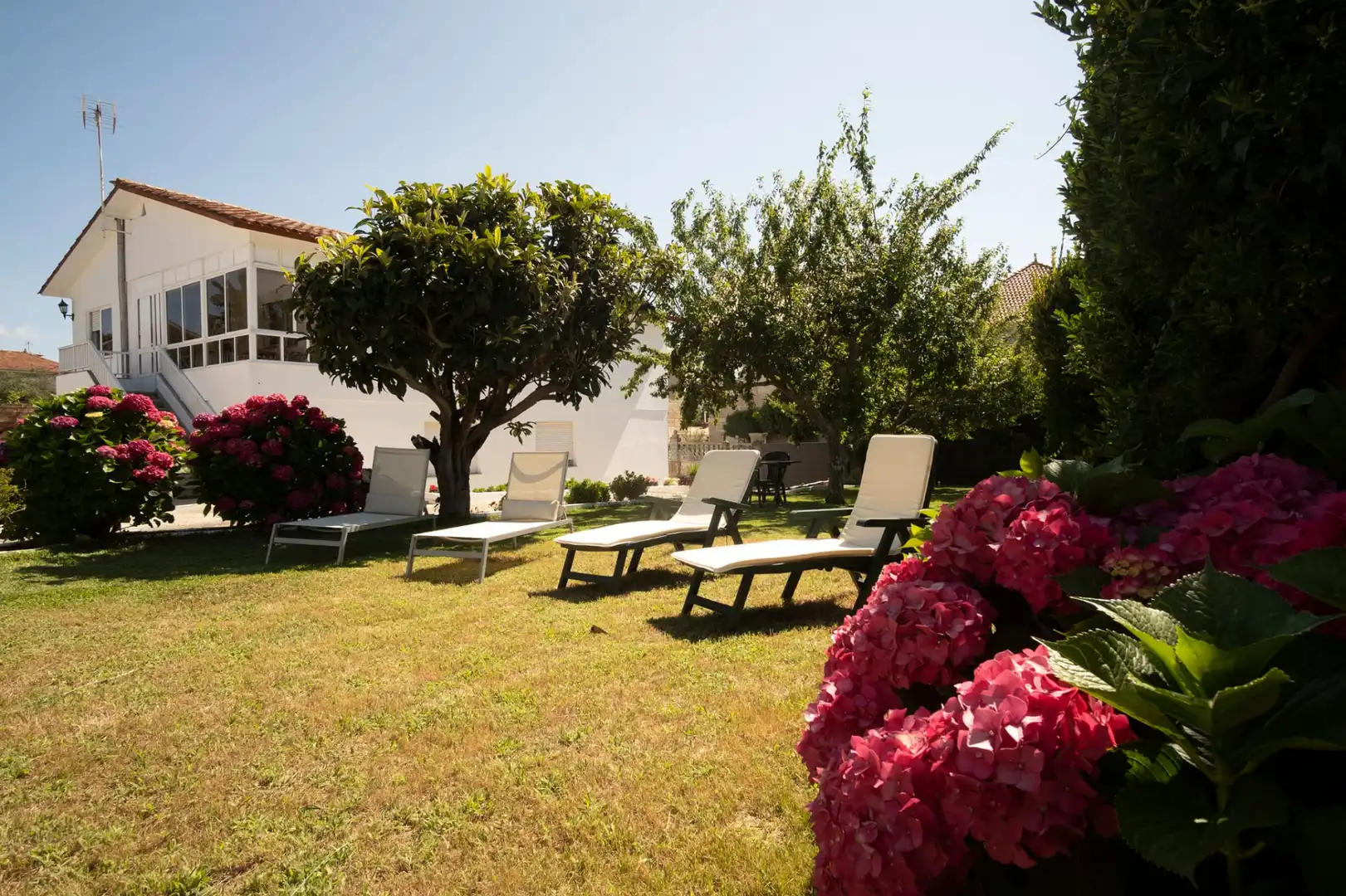 https://static.fotocasa.es/images/ads/d4d1ce19-c0b9-4b3b-bfda-3b2509952e18?rule=original