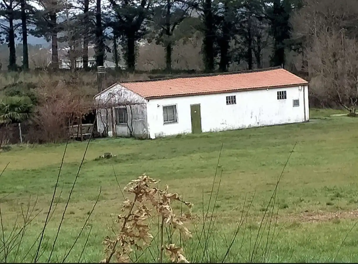 https://static.fotocasa.es/images/ads/c8db9f75-3632-4347-b123-ea7f799c9699?rule=original