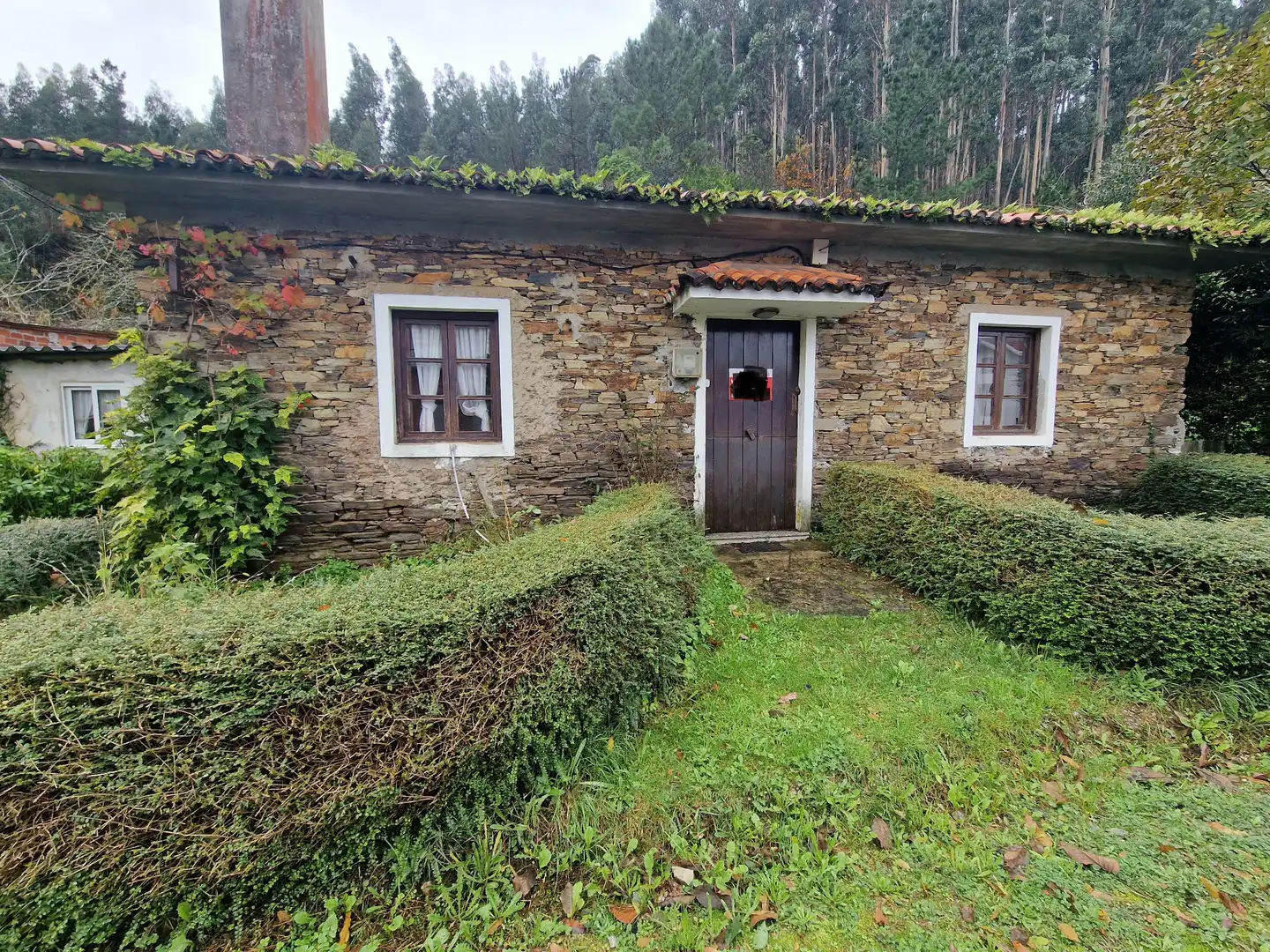 https://static.fotocasa.es/images/ads/fc0a6ba0-3aef-43be-9e35-80d6a283aae2?rule=original