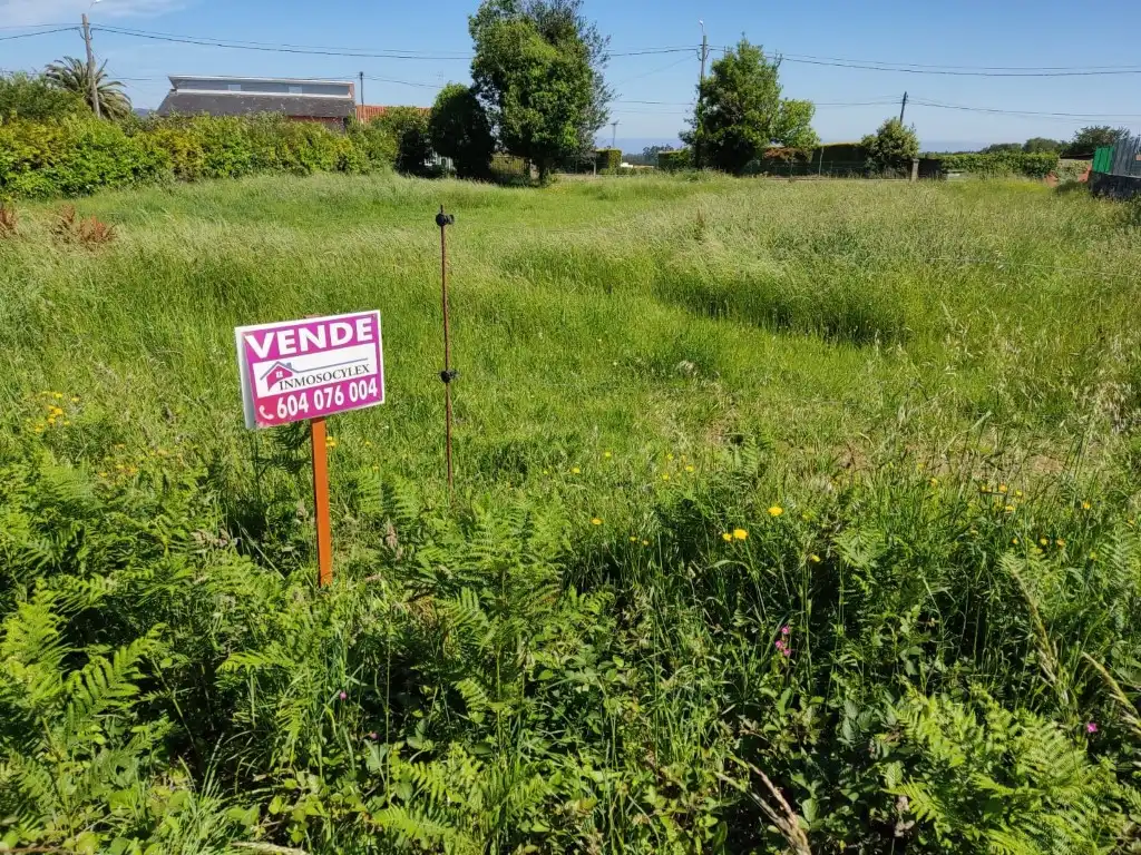 https://static.fotocasa.es/images/ads/d8b4db1f-dc2c-4b03-ac3f-d36b01e4a76b?rule=original