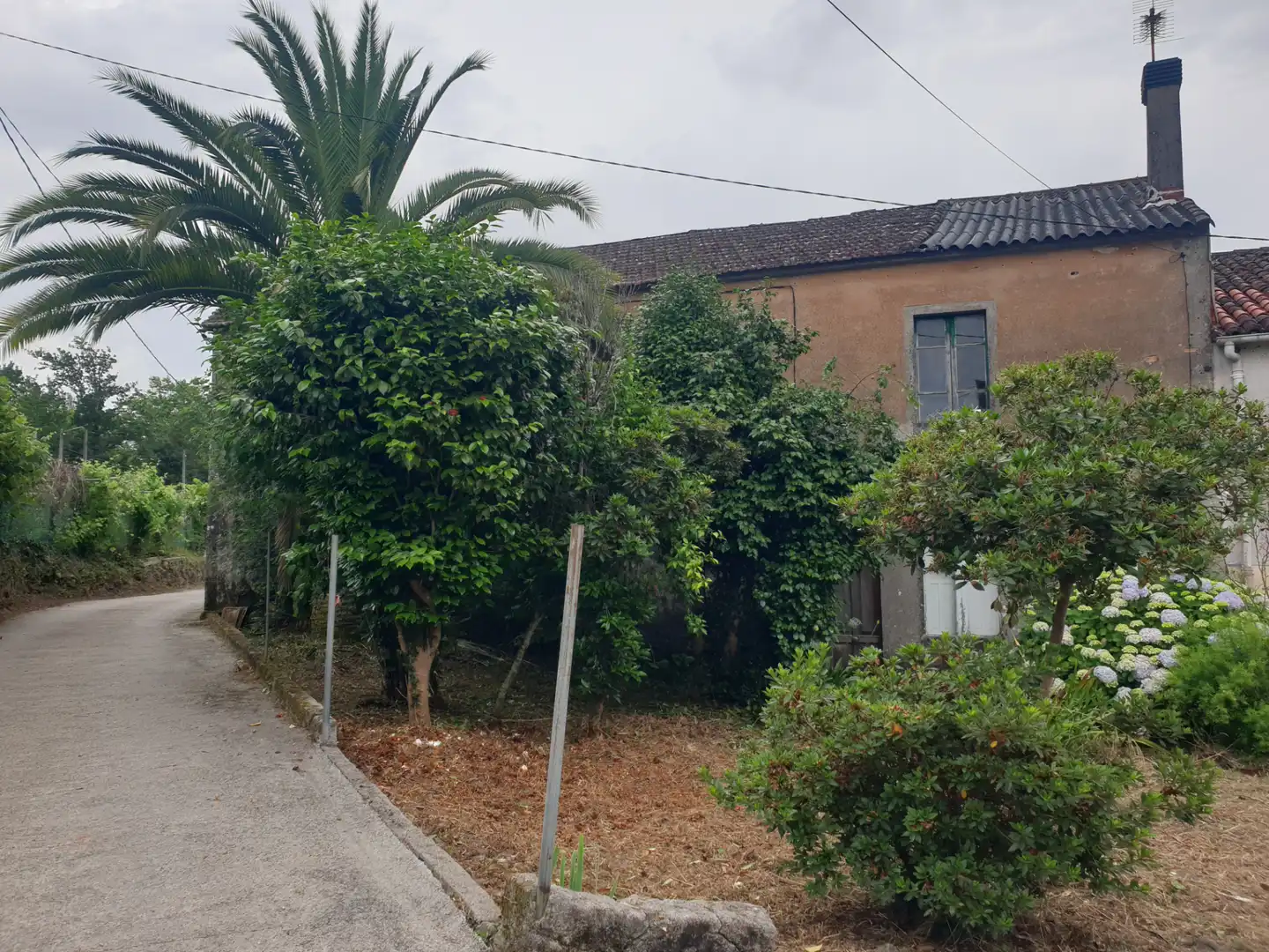 https://static.fotocasa.es/images/ads/f5b320df-2be7-4d82-a1e1-80889da15097?rule=original