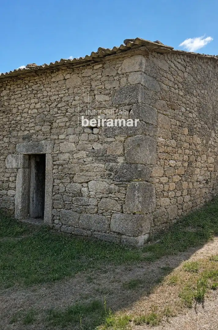 https://static.fotocasa.es/images/ads/9279cbff-9a3a-4e93-a4ec-6ef5e657b965?rule=original