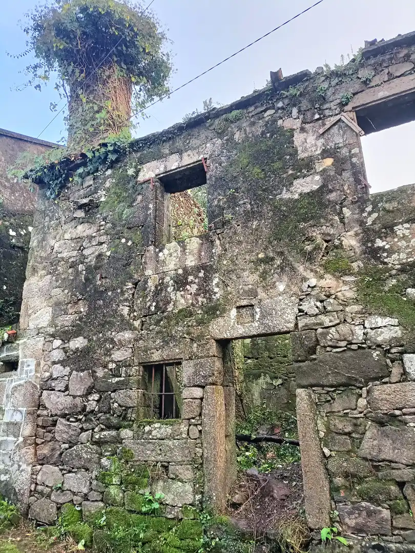 https://static.fotocasa.es/images/ads/cb68e0ff-5250-4b1b-93a5-d8e08e15095c?rule=original