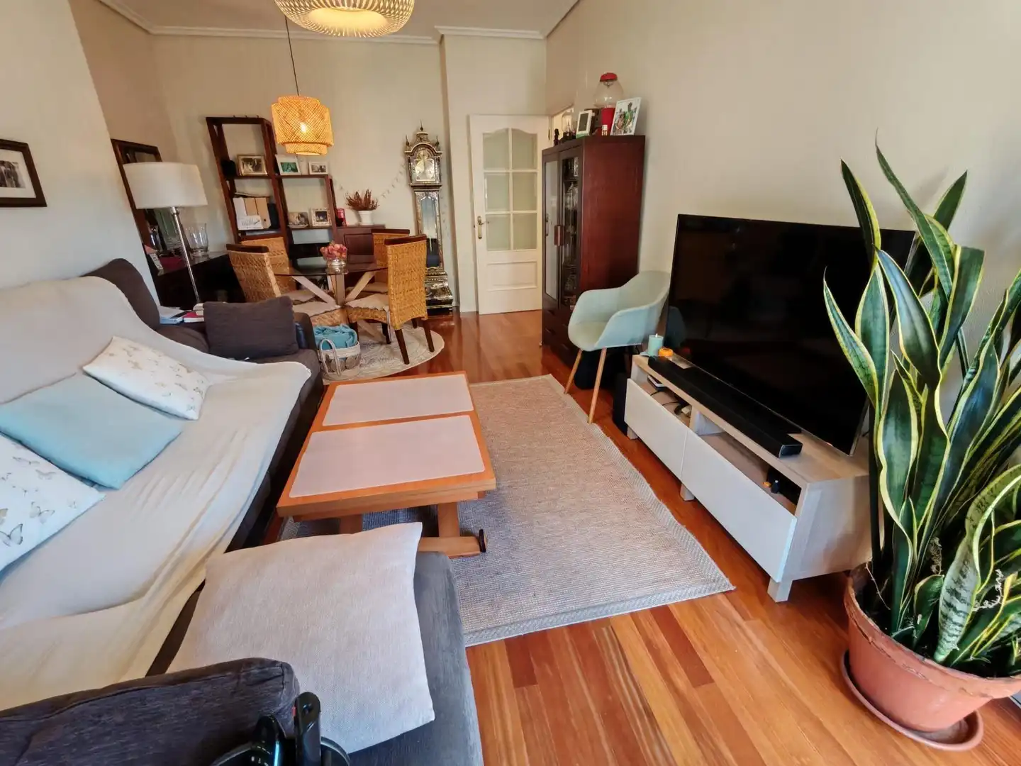 https://static.fotocasa.es/images/ads/e6e0bfc7-d1a0-4cd6-9080-68651d765e70?rule=original