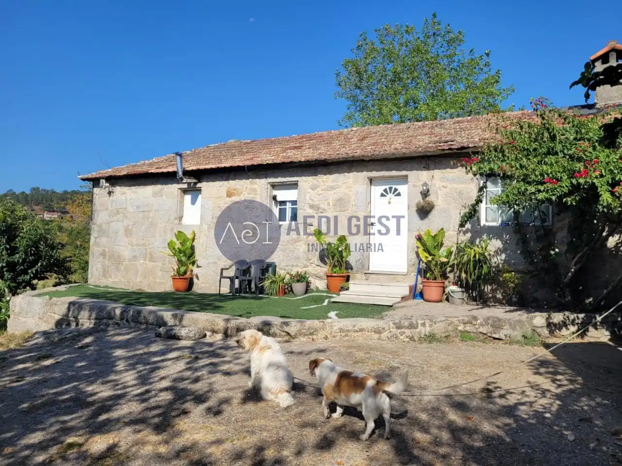 https://static.fotocasa.es/images/ads/2a2f72f8-b429-4b1f-be8b-30e30ff01281?rule=original