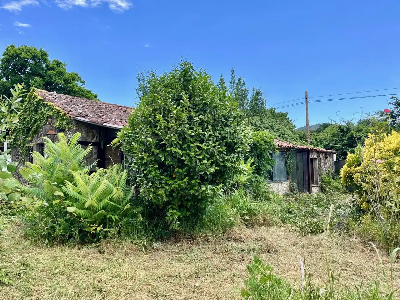 https://static.fotocasa.es/images/ads/fb49ba6c-799d-4123-85eb-3eccb8fa032f?rule=original