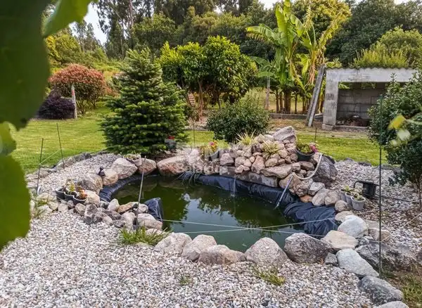 https://static.fotocasa.es/images/ads/e953061e-1d8a-49a1-85f9-16450cbee49a?rule=original
