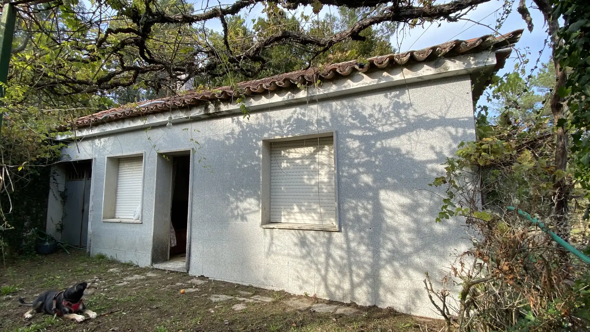 https://static.fotocasa.es/images/ads/2da5d7b5-e88d-4a23-8946-4178f997929b?rule=original