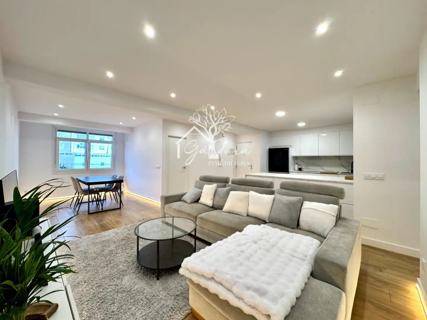 https://static.fotocasa.es/images/ads/db202c84-83a9-43a0-8c52-78ddd64445df?rule=original