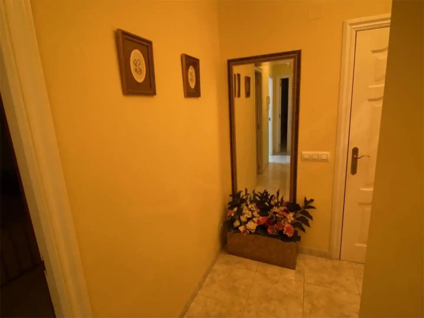 https://static.fotocasa.es/images/anuncio/2025/08/24/187383701/4708961130.jpg?rule=original