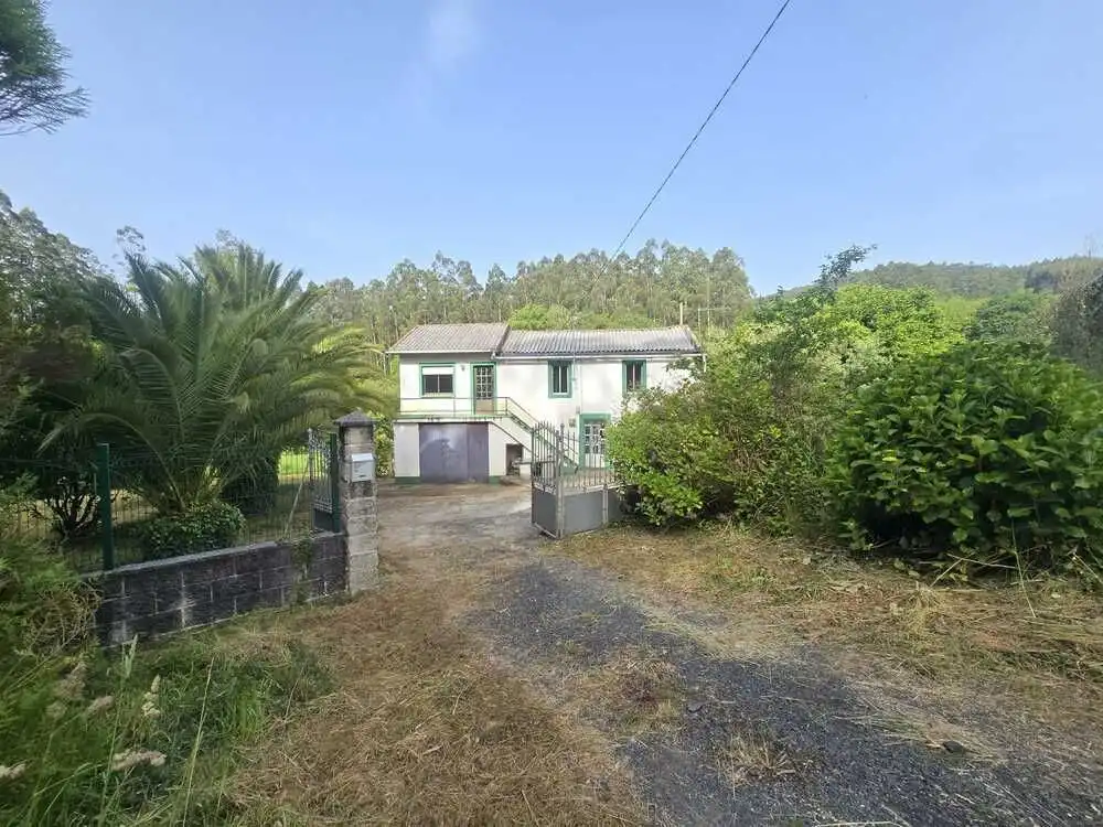 https://static.fotocasa.es/images/ads/b9fc49fc-296b-4229-9d8a-338c29f05ef0?rule=original