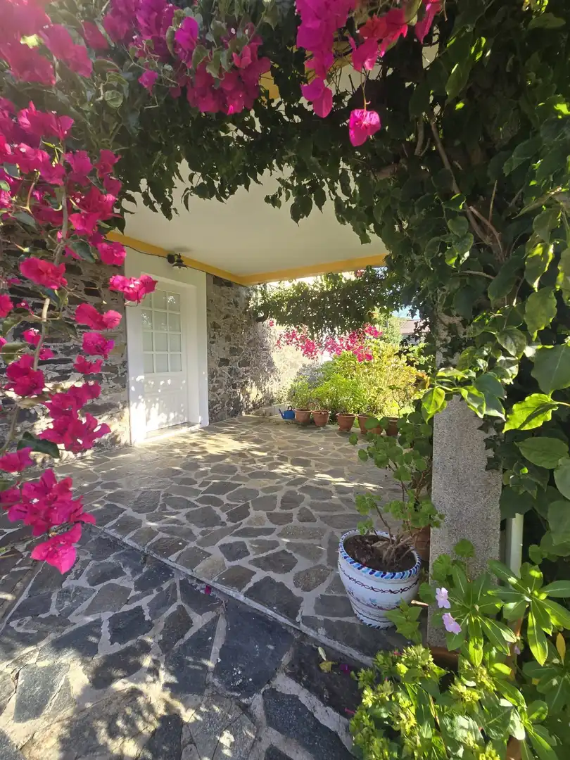 https://static.fotocasa.es/images/ads/1fd23926-9f75-4413-a10c-a7ed44e2e290?rule=original