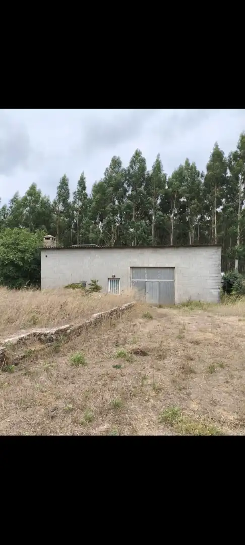 https://static.fotocasa.es/images/anuncio/2026/09/08/190701826/5002404971.jpg?rule=original