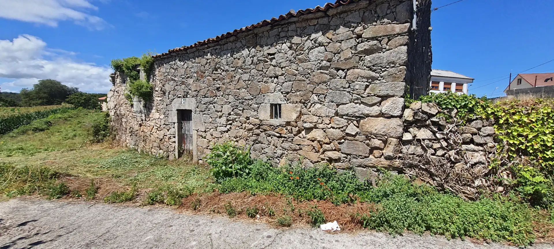 https://static.fotocasa.es/images/ads/fffa84ba-efe6-48b8-bb12-9ff59d2d8552?rule=original