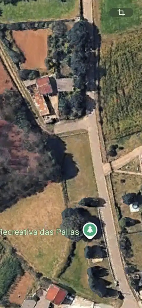 https://static.fotocasa.es/images/anuncio/2026/02/06/188770227/4839906770.jpg?rule=original