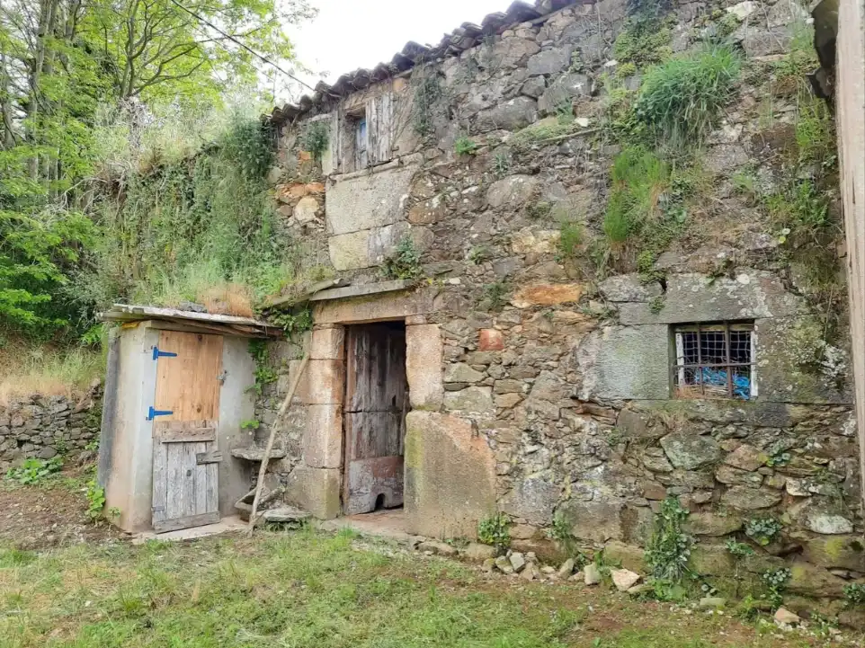 https://static.fotocasa.es/images/ads/7df99d56-4f6e-4008-bafe-e13e7765517d?rule=original