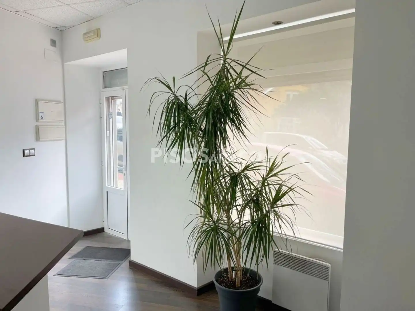 https://static.fotocasa.es/images/ads/d8112707-cdb6-4e74-822f-47b5cc8cb2e8?rule=original
