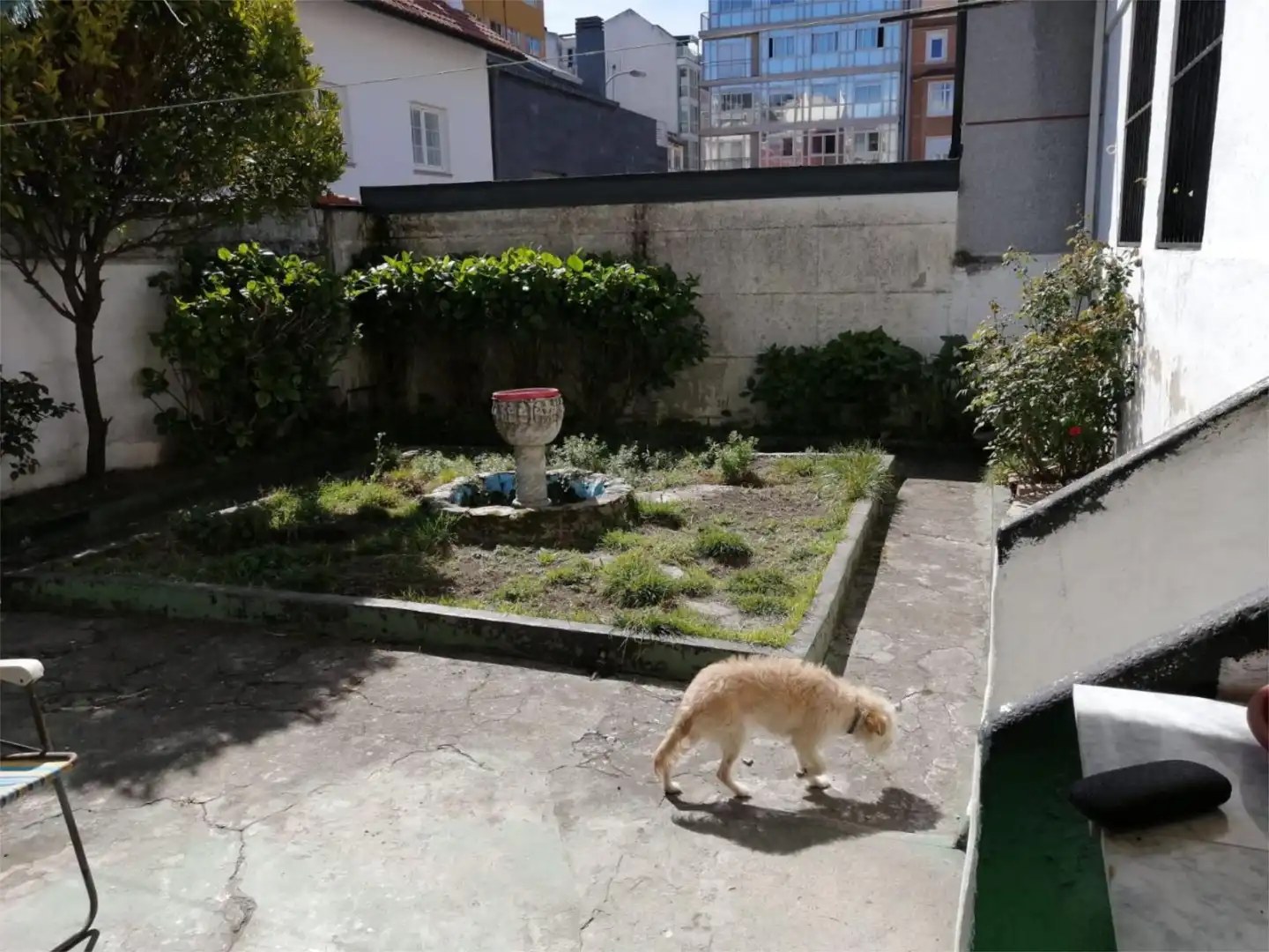https://static.fotocasa.es/images/anuncio/2025/09/16/187585721/4736610793.jpg?rule=original