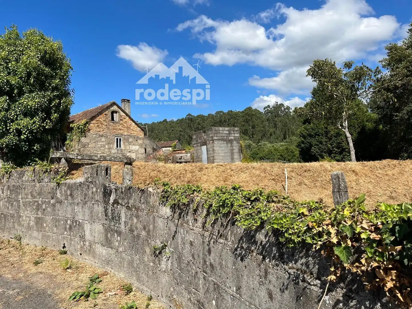 https://static.fotocasa.es/images/ads/b0c5d9c0-0898-477e-bbff-6ab554828654?rule=original