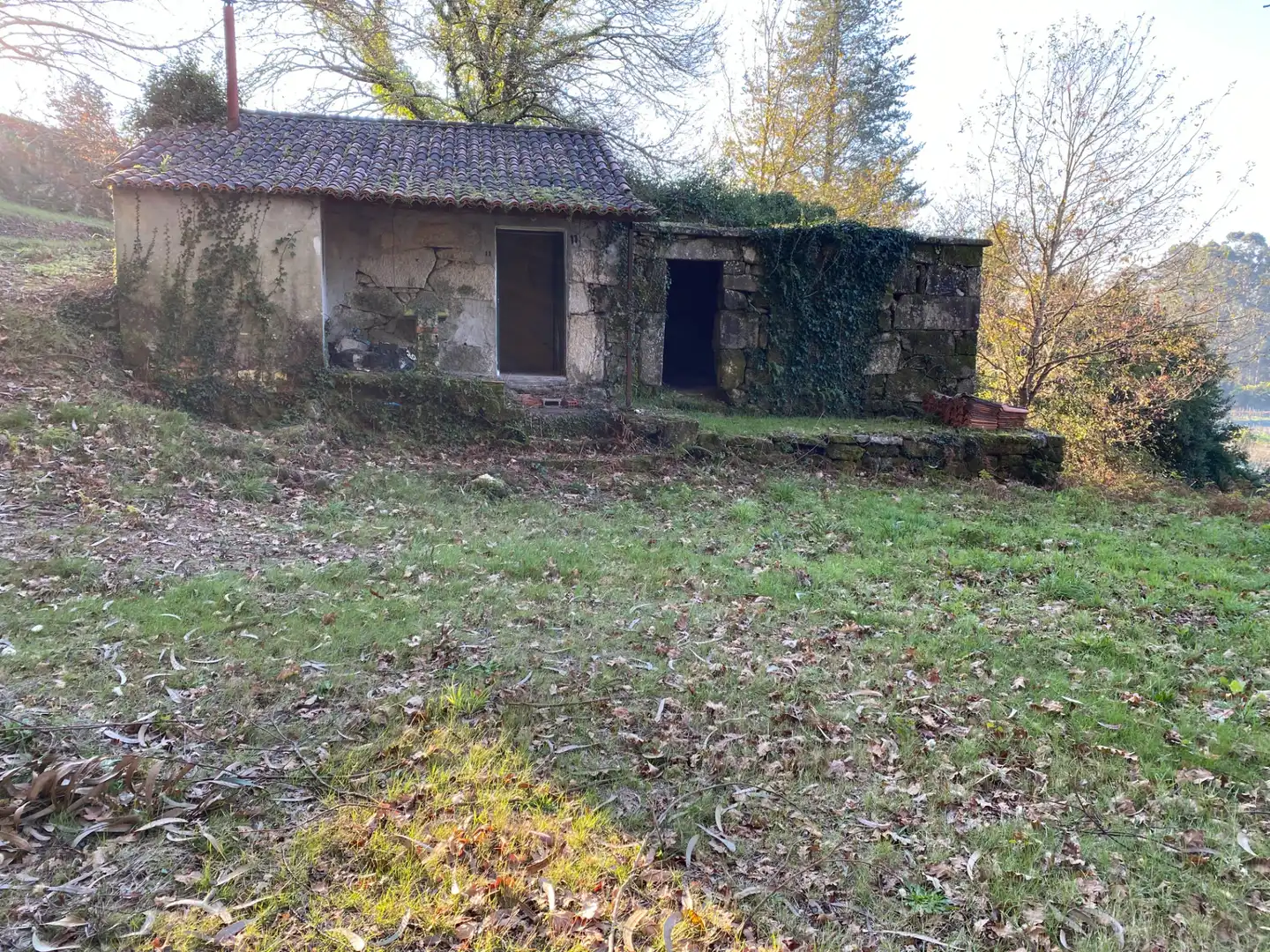 https://static.fotocasa.es/images/ads/4f7d6241-2dcf-419f-9c0e-4aa722197883?rule=original
