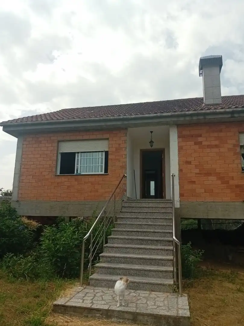 https://static.fotocasa.es/images/ads/906e9c09-e213-4a07-9929-19e7d9e9edbe?rule=original