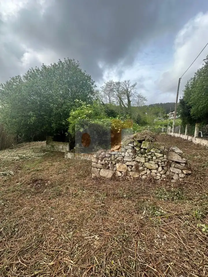 https://static.fotocasa.es/images/ads/fb2c9bf6-10e1-4240-b433-da4436f89251?rule=original
