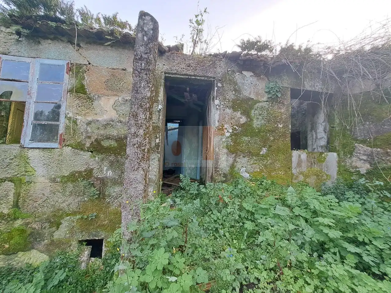 https://static.fotocasa.es/images/ads/252b12de-8ba6-4812-b986-2a3f18cec1c0?rule=original