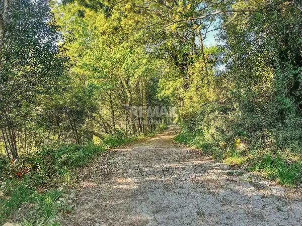 https://static.fotocasa.es/images/ads/ca821d02-aa32-47a8-b4d1-7619265603fa?rule=original