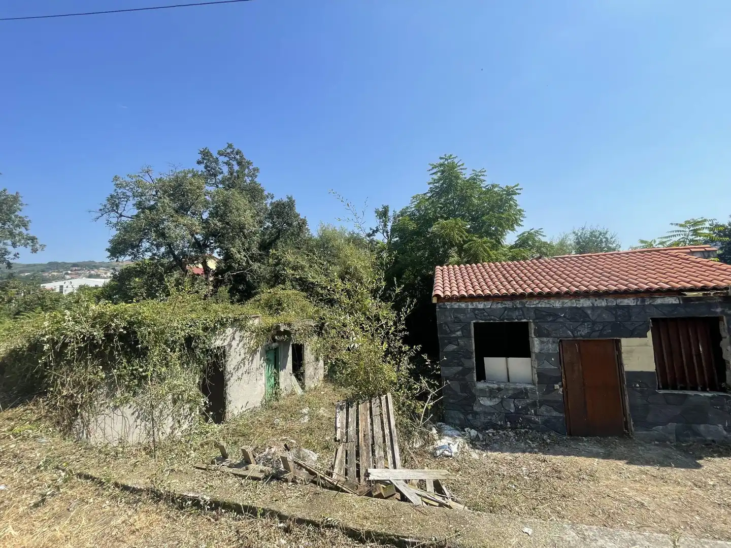 https://static.fotocasa.es/images/anuncio/2025/07/20/187114202/4688355503.jpg?rule=original