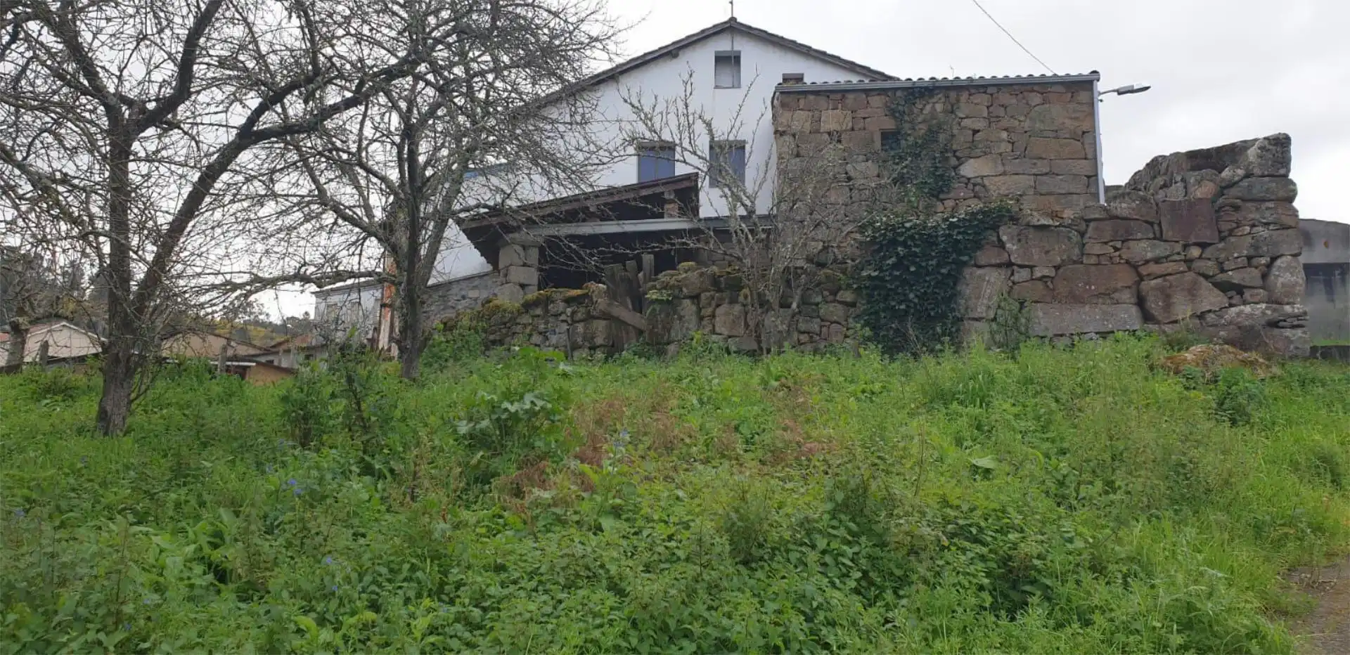 https://static.fotocasa.es/images/anuncio/2026/02/07/188783281/4842023396.jpg?rule=original
