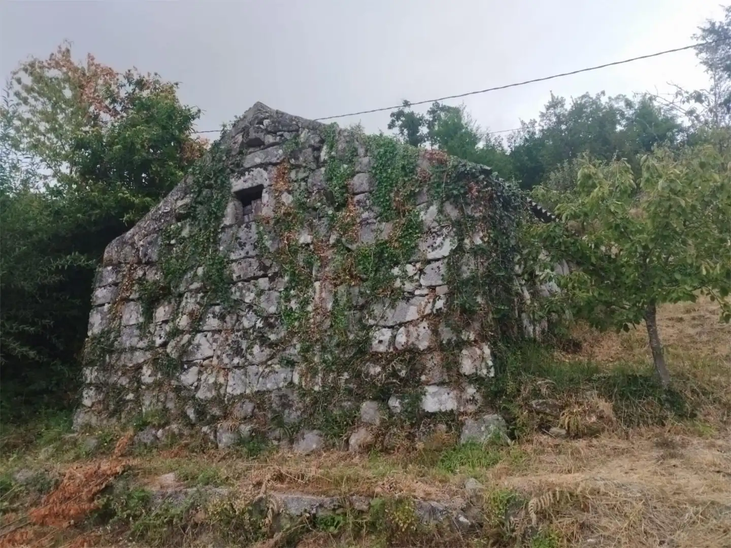 https://static.fotocasa.es/images/anuncio/2024/09/05/184219418/4138093302.jpg?rule=original