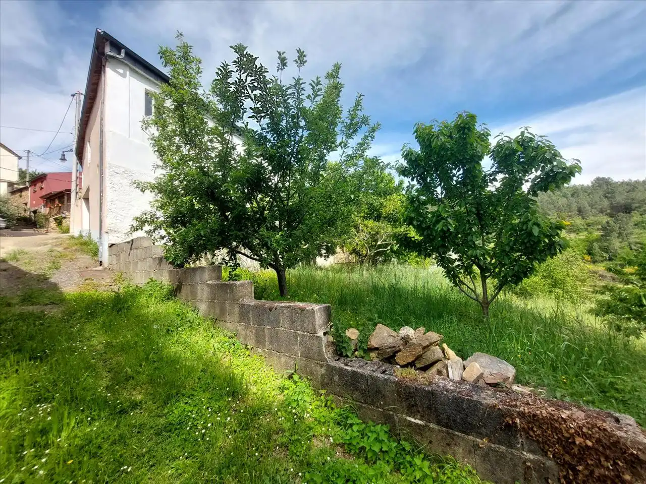 https://static.fotocasa.es/images/ads/60620a21-21c2-412f-a1ce-0995e8e95dd0?rule=original