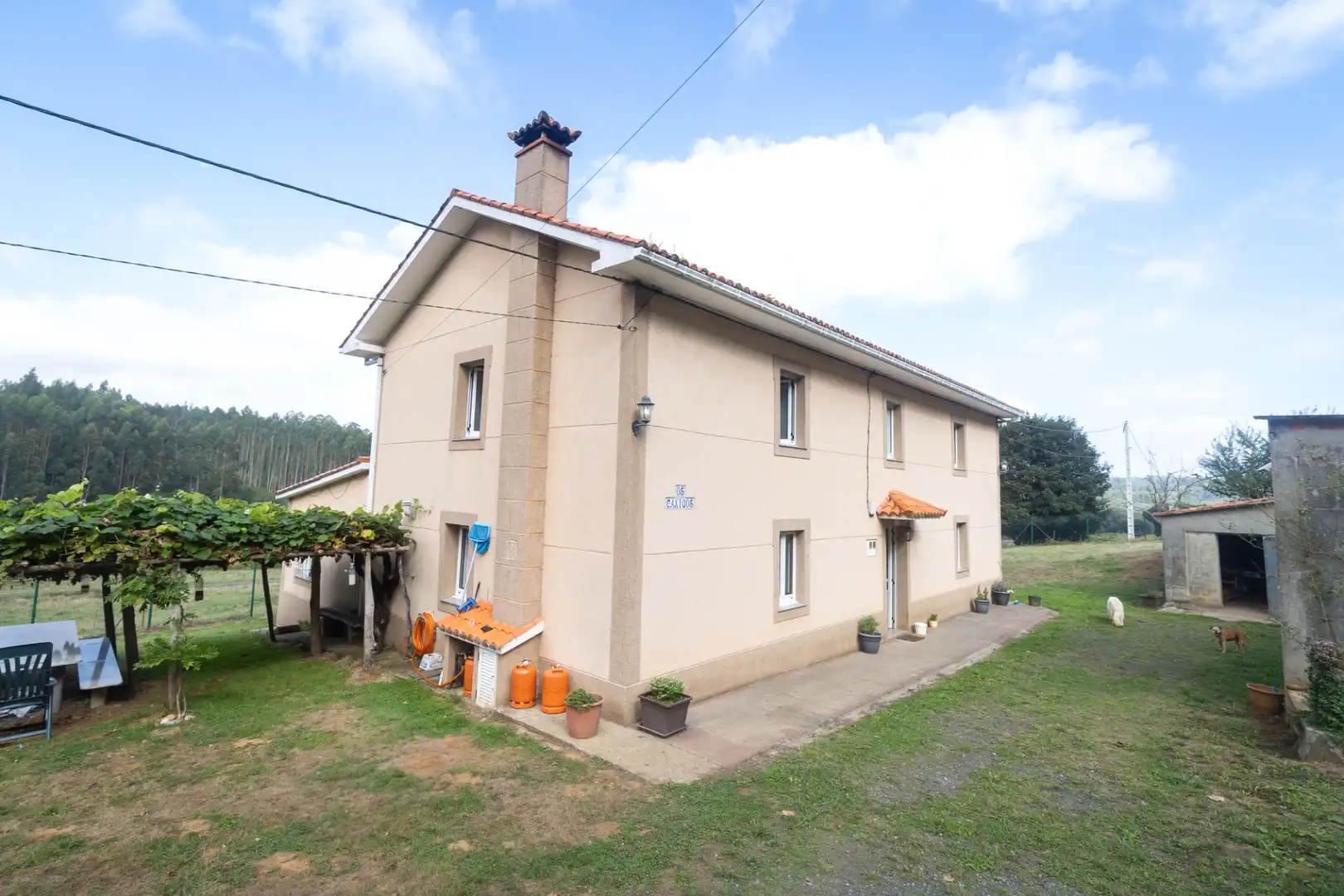 https://static.fotocasa.es/images/ads/47427bd9-af8a-4d73-bb5a-206b324cebda?rule=original