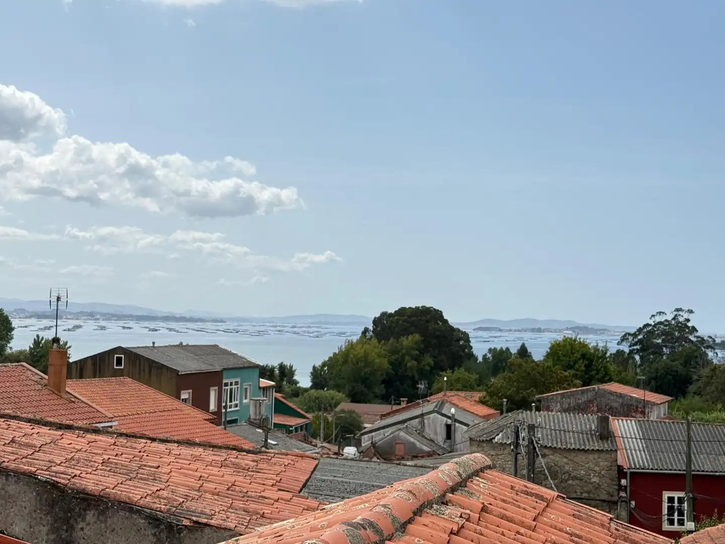 https://static.fotocasa.es/images/ads/19e8c1cc-25f3-4da7-b0bd-e690ca707b57?rule=original