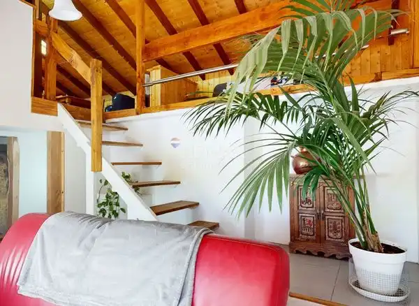 https://static.fotocasa.es/images/ads/d18ddbc1-efac-4be9-a8c5-0b0ed339d342?rule=original