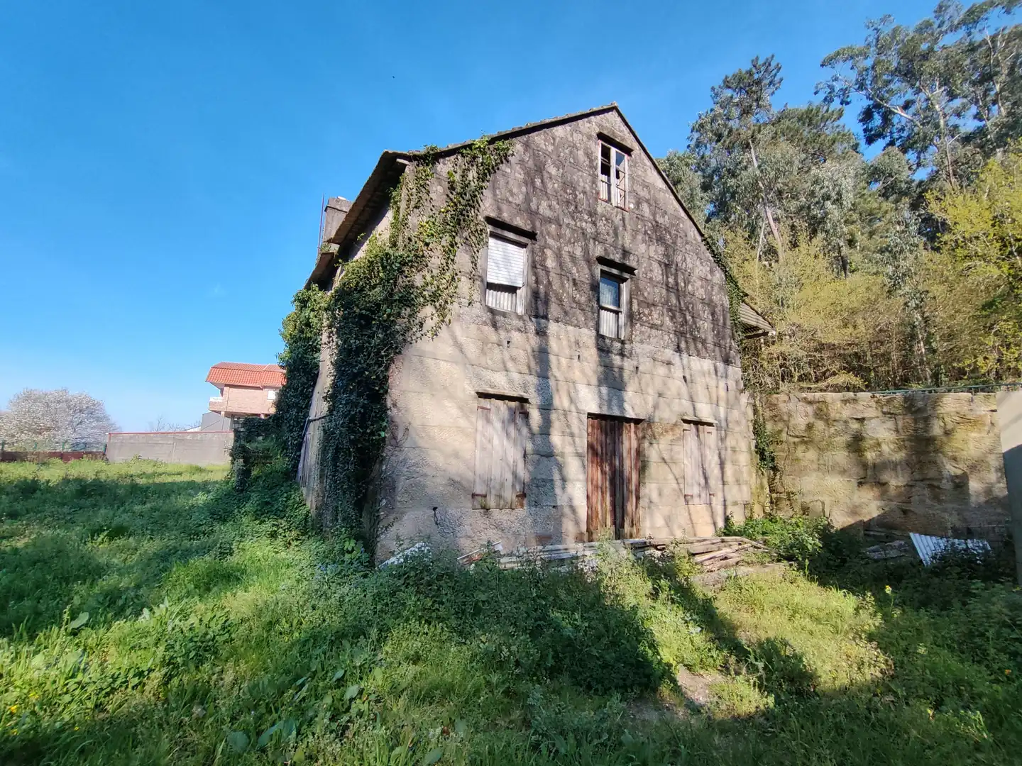 https://static.fotocasa.es/images/ads/557b9b83-8a2a-483c-b68f-0b3c0f7f834b?rule=original