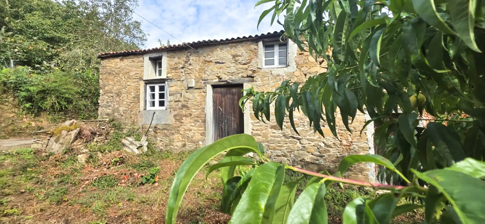 https://static.fotocasa.es/images/ads/de7c99f9-f8f9-4cc0-aa57-ce1b644004f9?rule=original