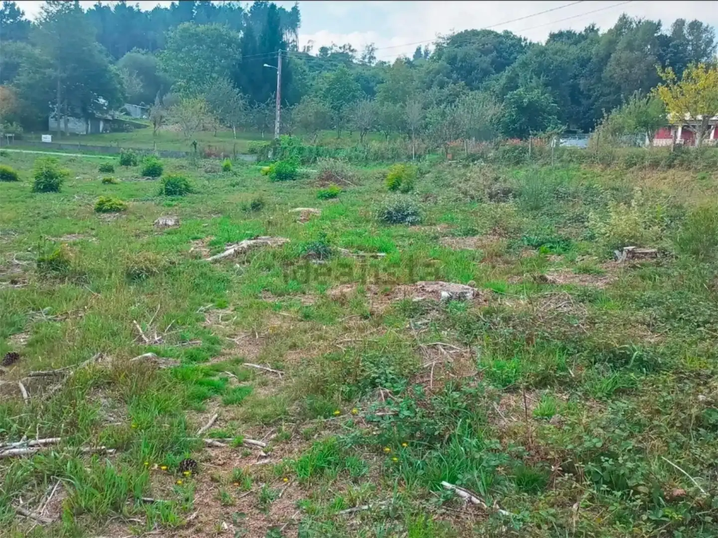 https://static.fotocasa.es/images/anuncio/2025/12/13/188353563/4805424004.jpg?rule=original