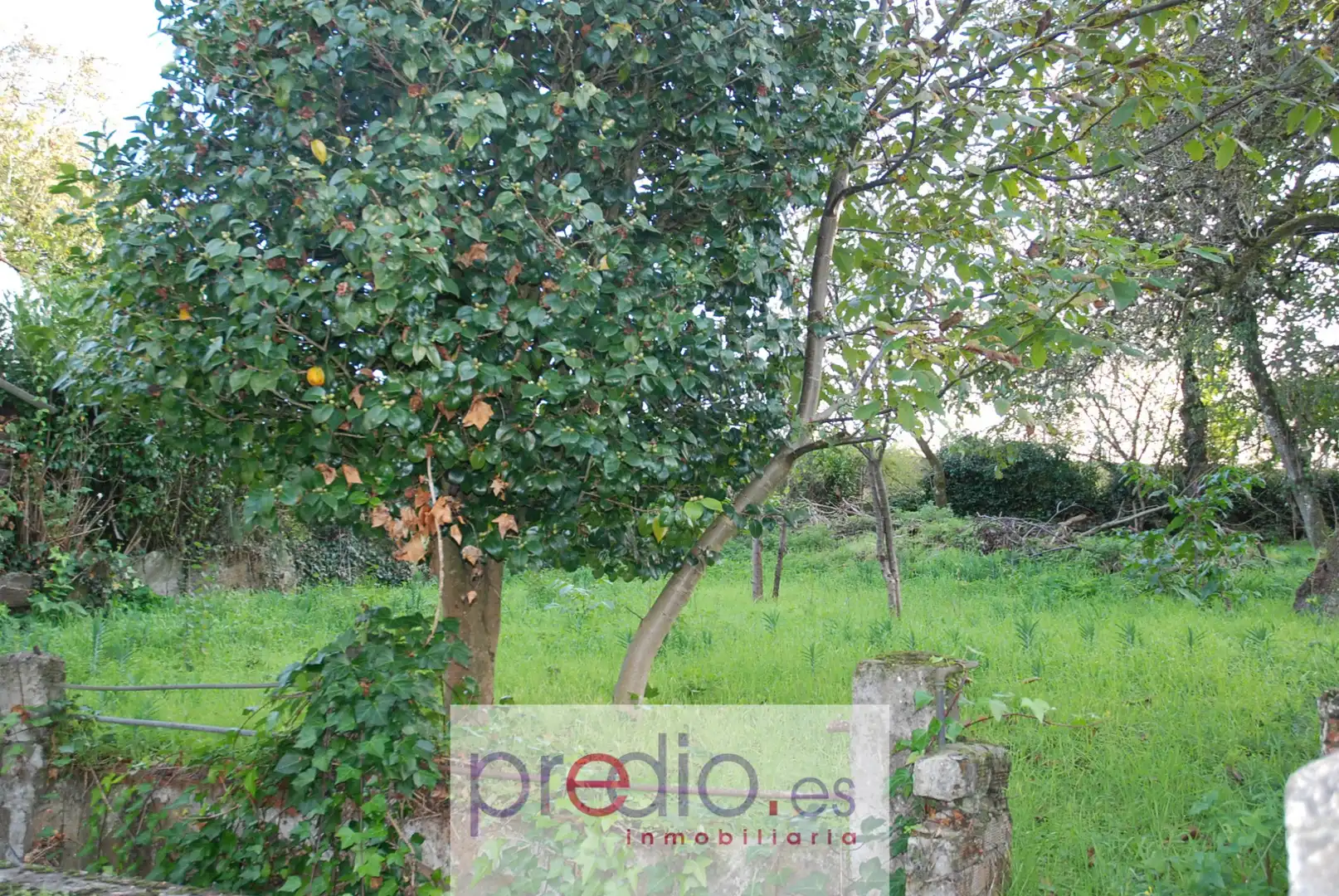 https://static.fotocasa.es/images/ads/ede569e2-6aca-4ec4-b04e-55c40215bbee?rule=original