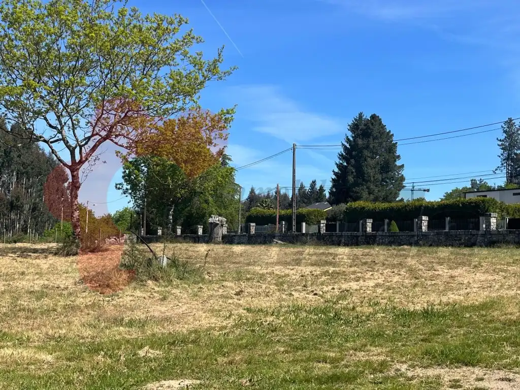 https://static.fotocasa.es/images/ads/83931f6a-8e7f-4aad-9d98-df8d70b7e9bc?rule=original