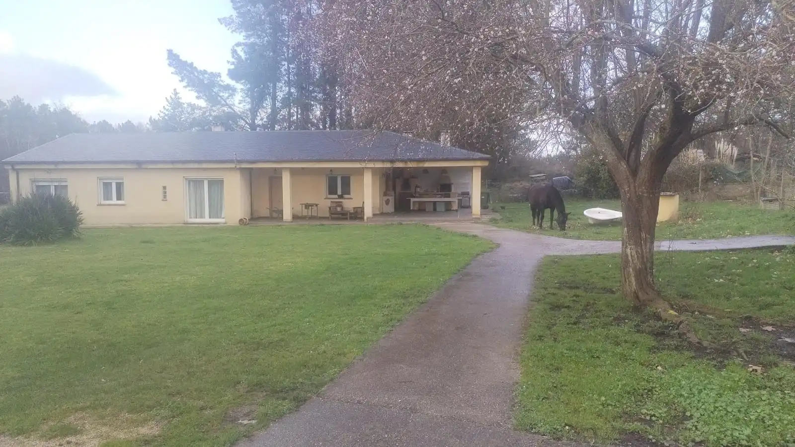 https://static.fotocasa.es/images/ads/9cfe2b35-e665-4c11-be39-122ea4908adc?rule=original