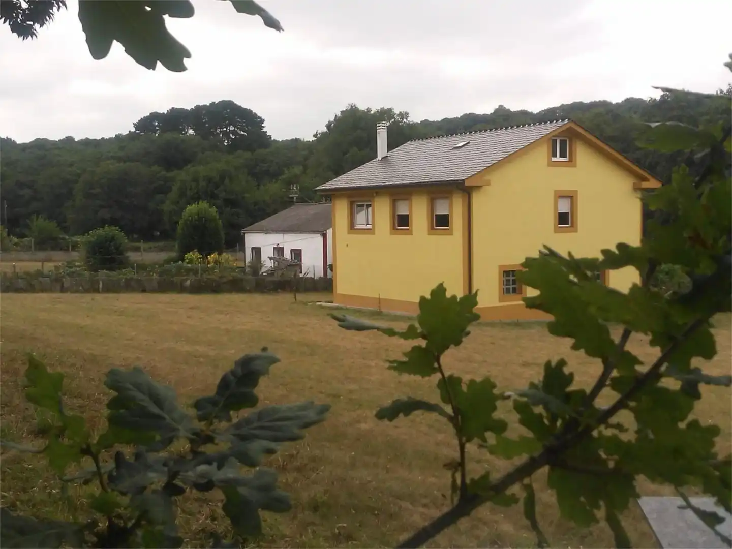 https://static.fotocasa.es/images/anuncio/2024/09/04/184213111/4182329834.jpg?rule=original