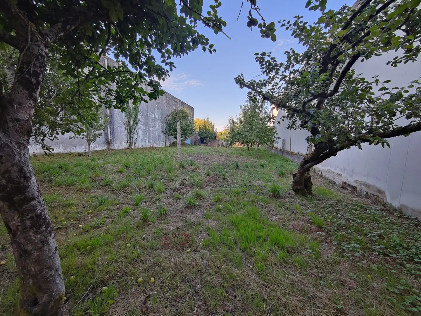 https://static.fotocasa.es/images/ads/79756110-0813-433f-88e4-9d0caa656124?rule=original