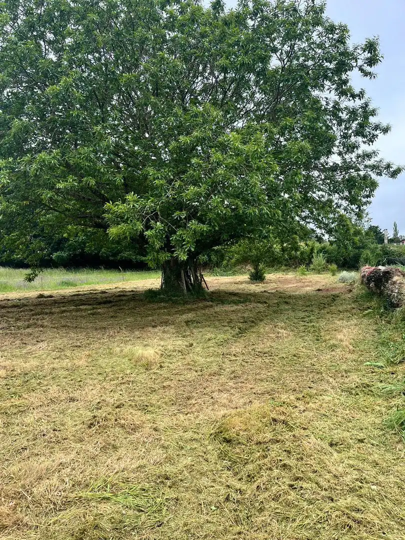 https://static.fotocasa.es/images/anuncio/2024/08/24/184133978/4092952417.jpg?rule=original