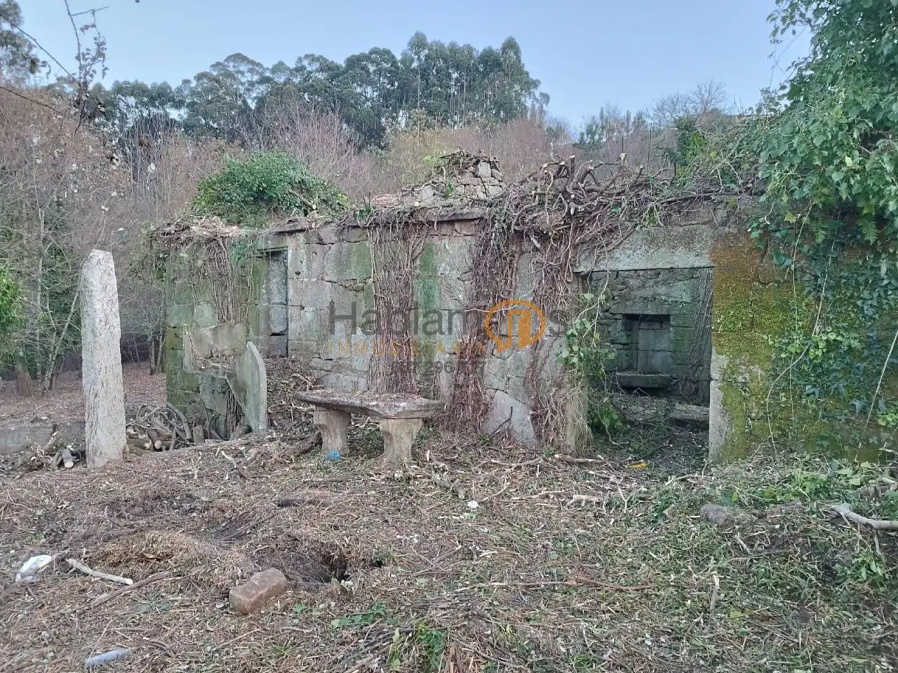 https://static.fotocasa.es/images/ads/4cb9c83b-9092-4e46-b214-d4bfc01bddac?rule=original